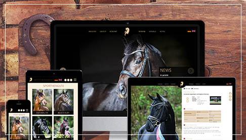 Referenzen 2019: Bonhomme